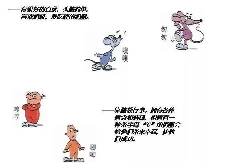 最高级的稳定,是拥有反脆弱的能力! 最高级的稳定,是拥有反脆弱的能力!